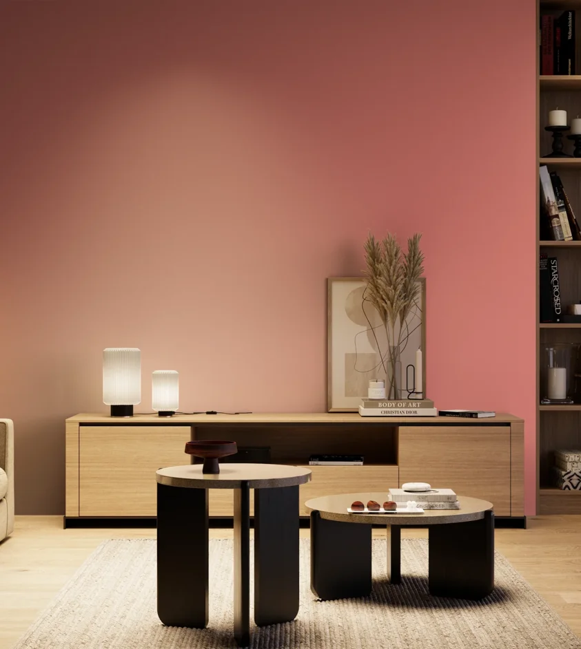 P10_SNIEZKA_salon_04_cieple_GREY_S1050-R