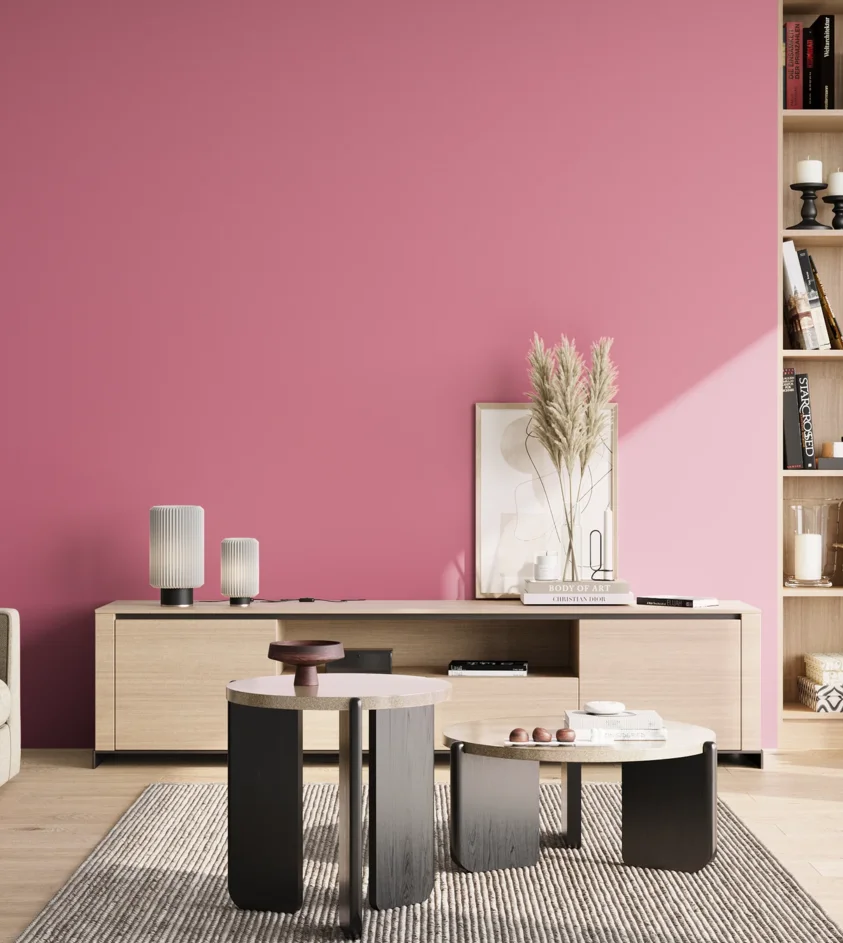 P10_SNIEZKA_salon_02_poludnie_GREY_S1050-R20B