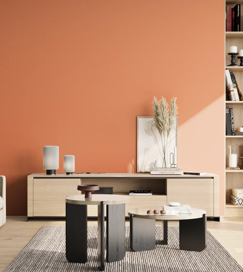 P10_SNIEZKA_salon_02_poludnie_GREY_S1050-Y60R