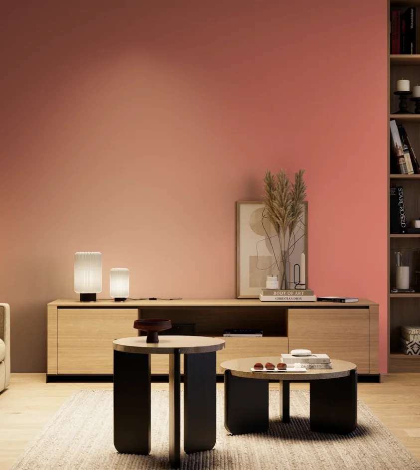 P10_SNIEZKA_salon_04_cieple_GREY_S1050-Y90R