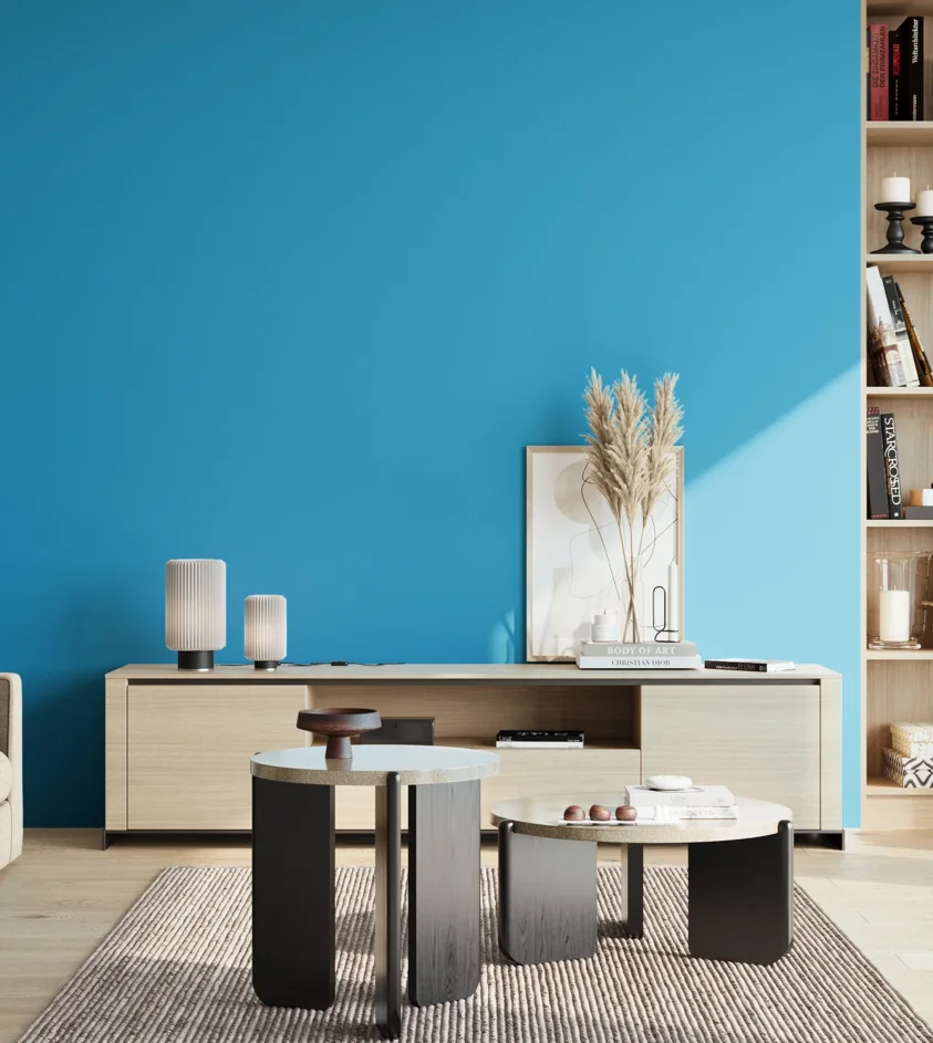 P10_SNIEZKA_salon_02_poludnie_GREY_S1060-B