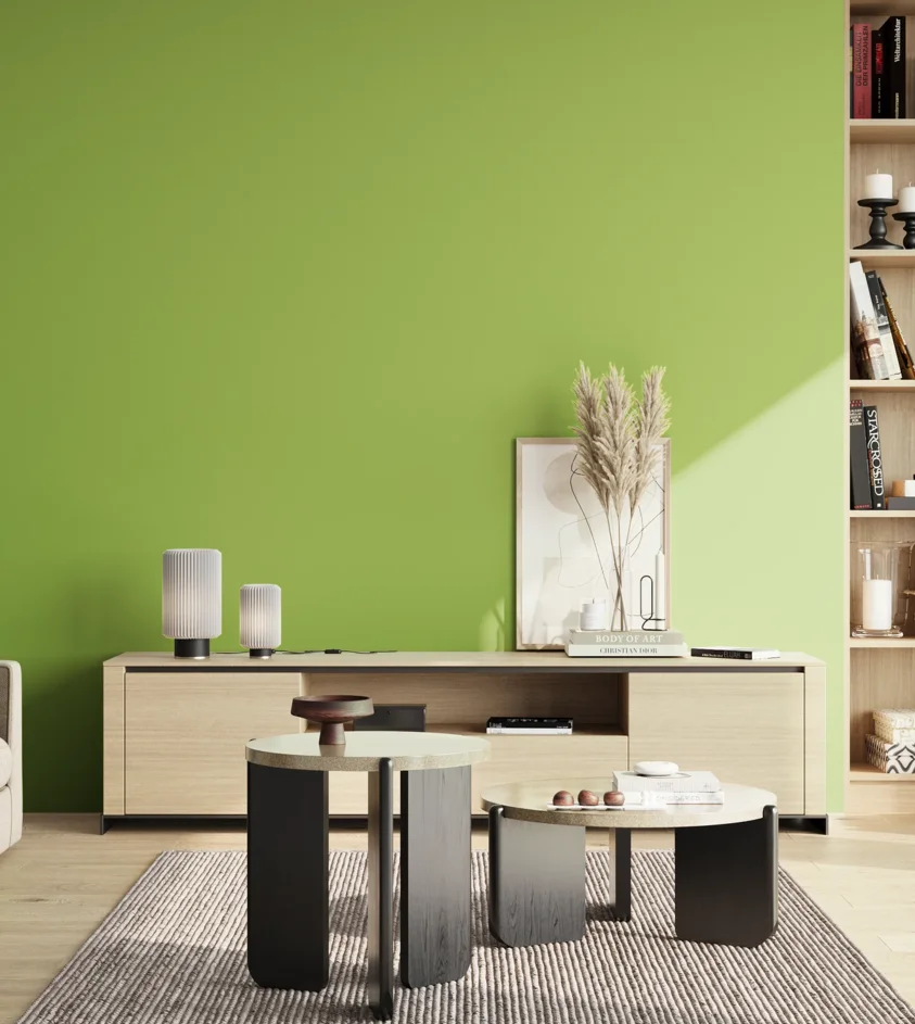 P10_SNIEZKA_salon_02_poludnie_GREY_S1060-G40Y
