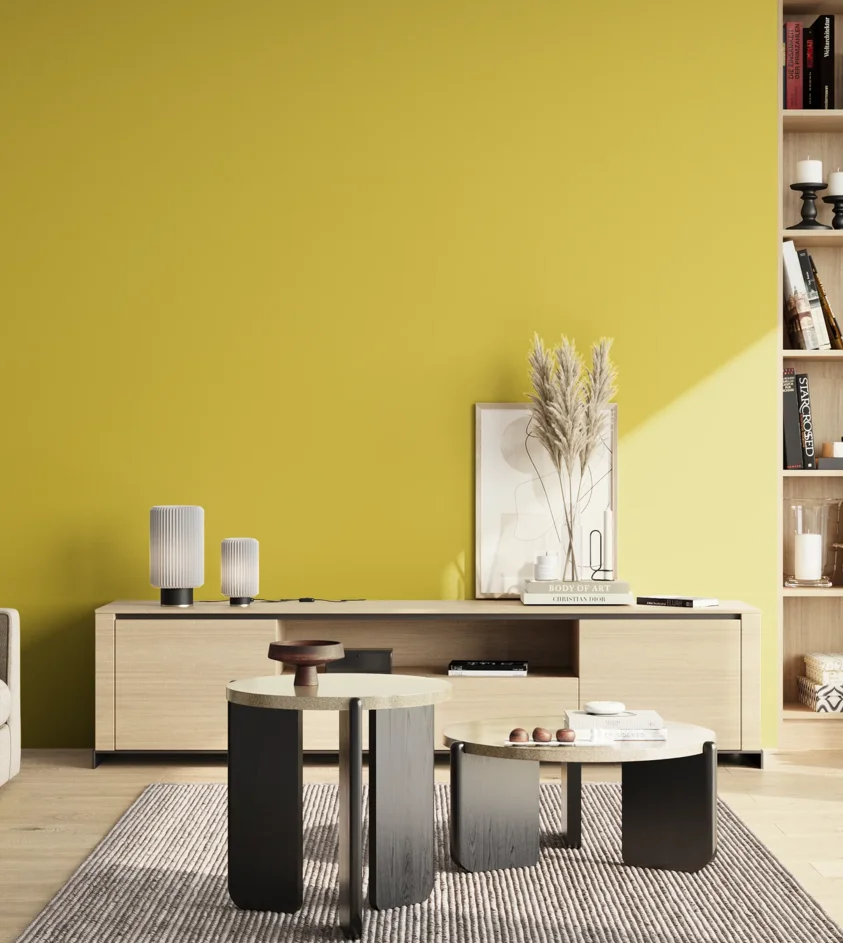 P10_SNIEZKA_salon_02_poludnie_GREY_S1060-G90Y
