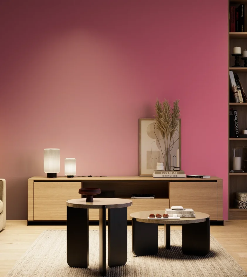 P10_SNIEZKA_salon_04_cieple_GREY_S1060-R20B
