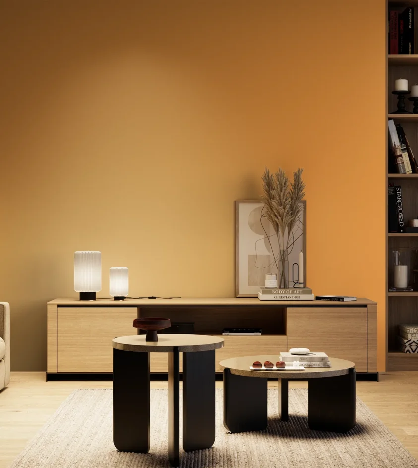 P10_SNIEZKA_salon_04_cieple_GREY_S1060-Y30R