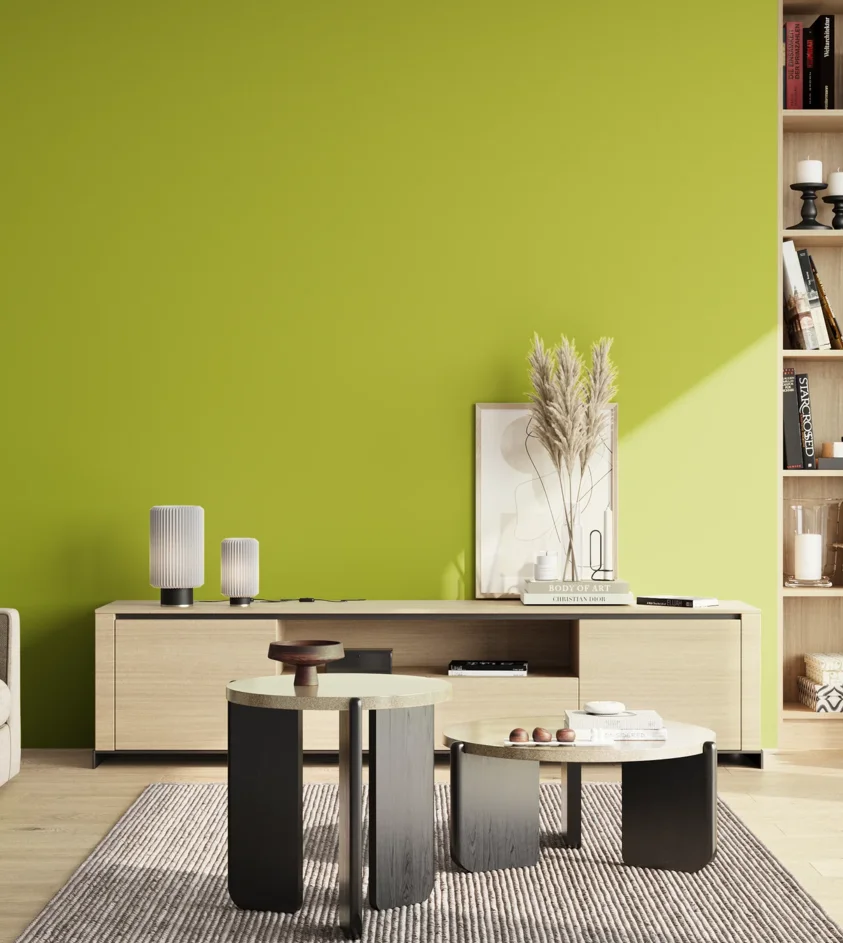 P10_SNIEZKA_salon_02_poludnie_GREY_S1070-G60Y