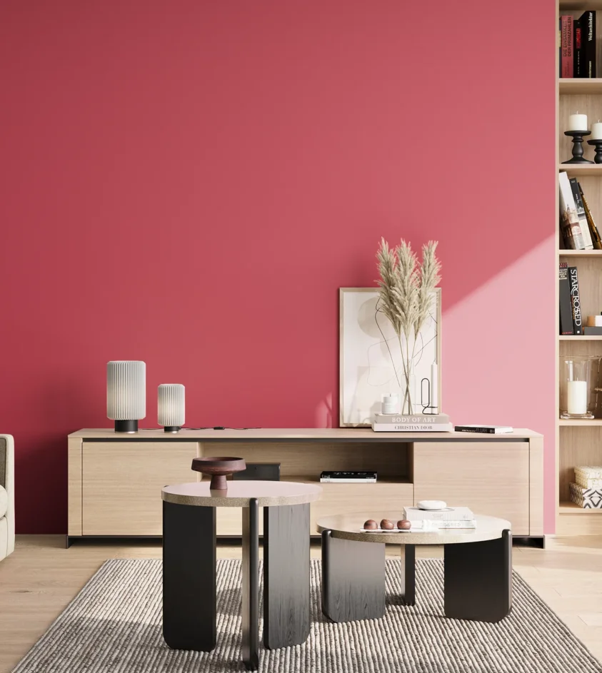 P10_SNIEZKA_salon_02_poludnie_GREY_S1070-R10B