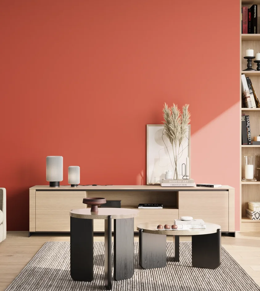 P10_SNIEZKA_salon_02_poludnie_GREY_S1070-Y80R