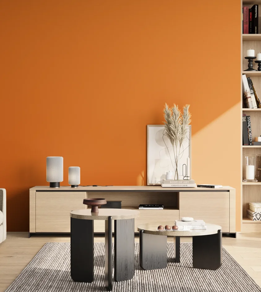 P10_SNIEZKA_salon_02_poludnie_GREY_S1080-Y40R