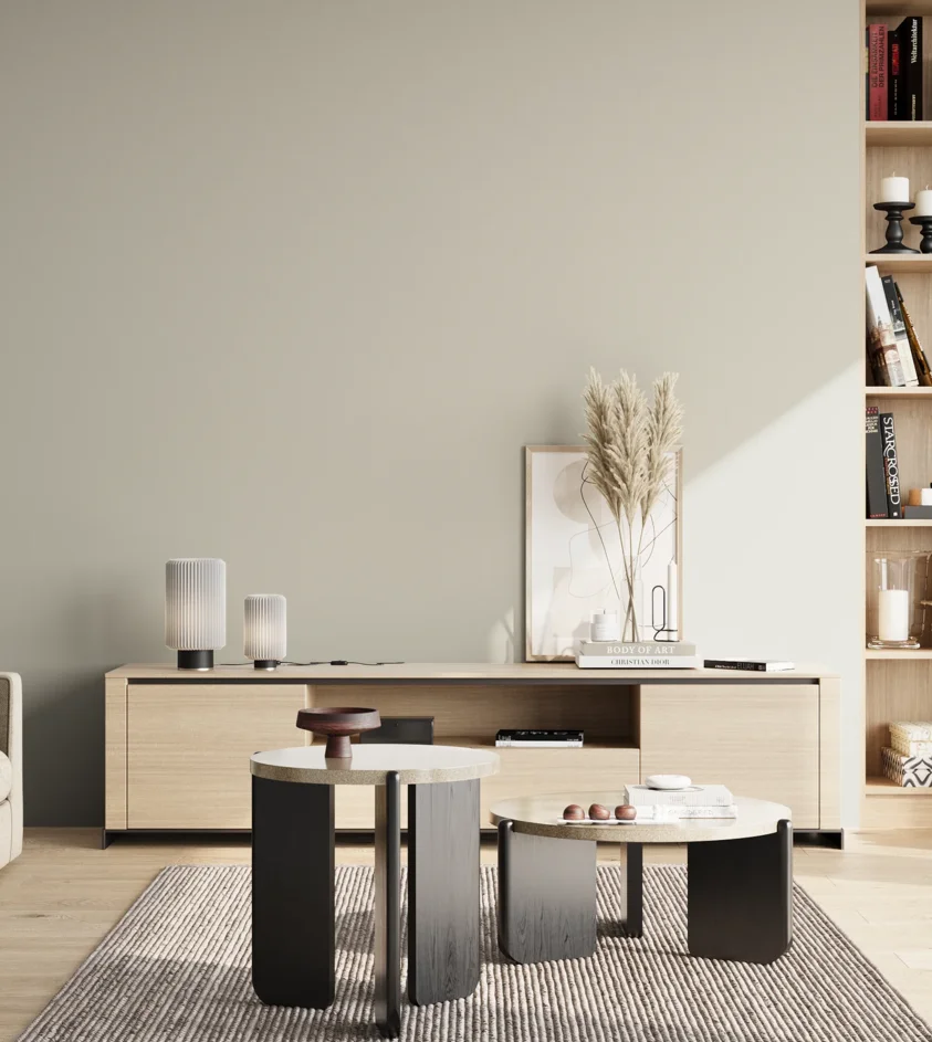 P10_SNIEZKA_salon_02_poludnie_GREY_S1502-Y