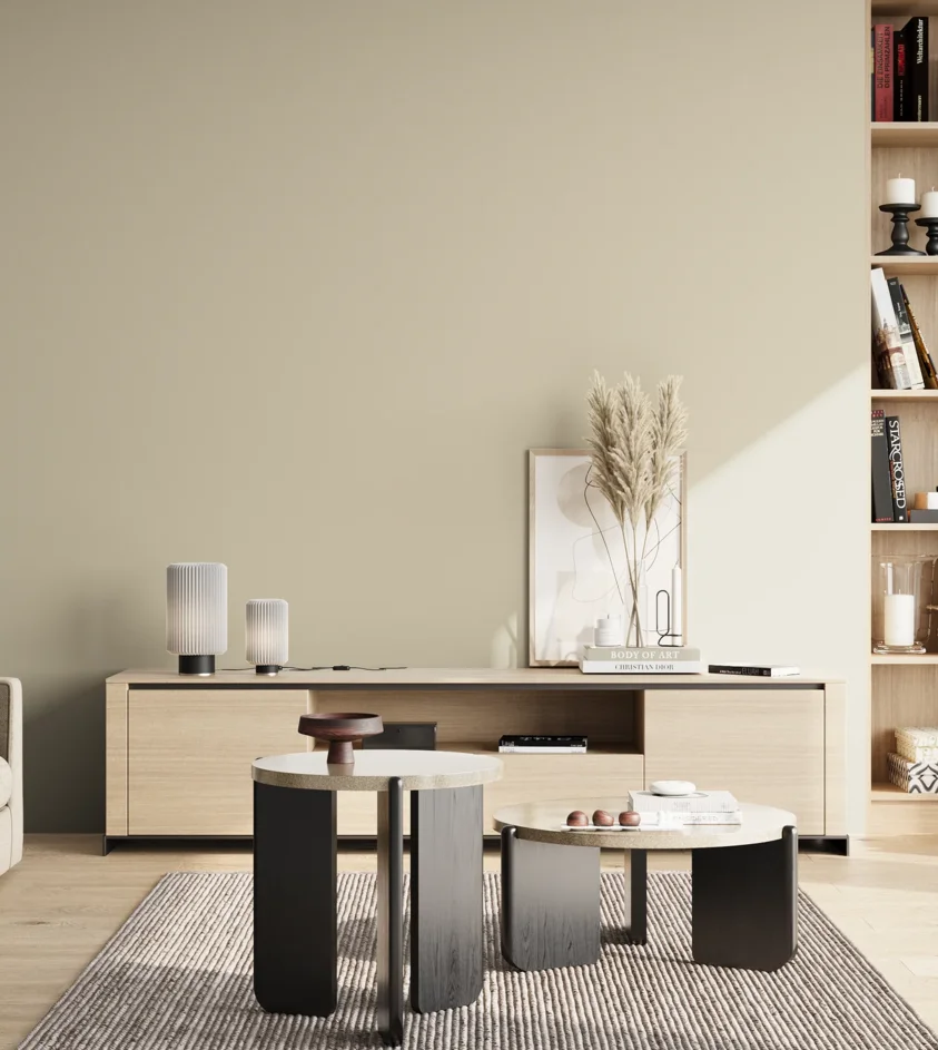 P10_SNIEZKA_salon_02_poludnie_GREY_S1505-Y10R