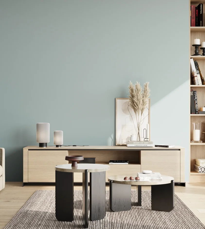 P10_SNIEZKA_salon_02_poludnie_GREY_S1510-B20G