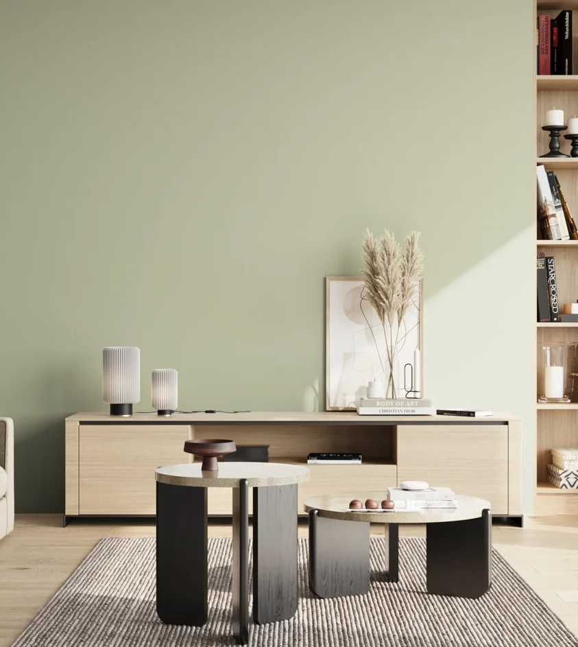 P10_SNIEZKA_salon_02_poludnie_GREY_S1510-G40Y