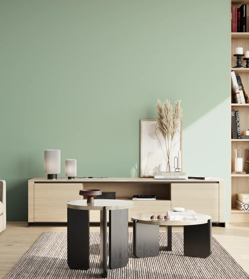 P10_SNIEZKA_salon_02_poludnie_GREY_S1515-G
