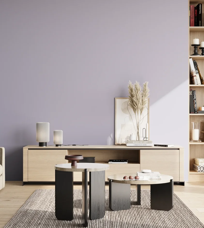 P10_SNIEZKA_salon_02_poludnie_GREY_S1515-R60B