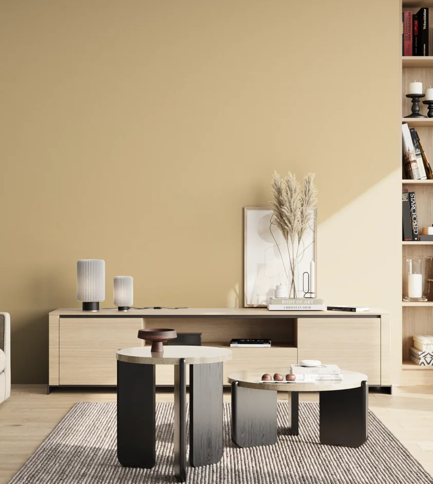P10_SNIEZKA_salon_02_poludnie_GREY_S1515-Y20R