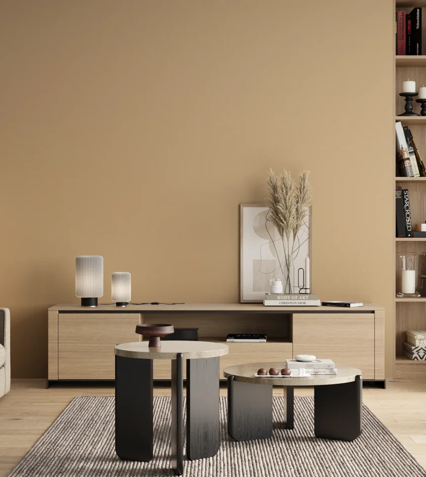 P10_SNIEZKA_salon_00_neutral_GREY_S1515-Y30R