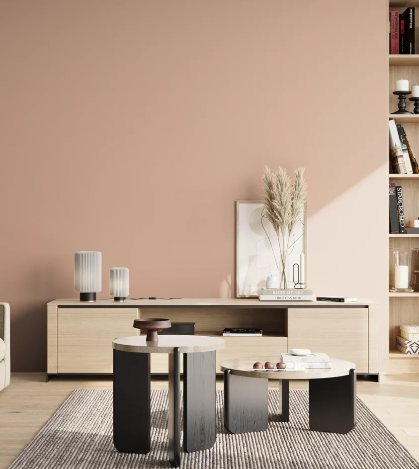 P10_SNIEZKA_salon_02_poludnie_GREY_S1515-Y70R