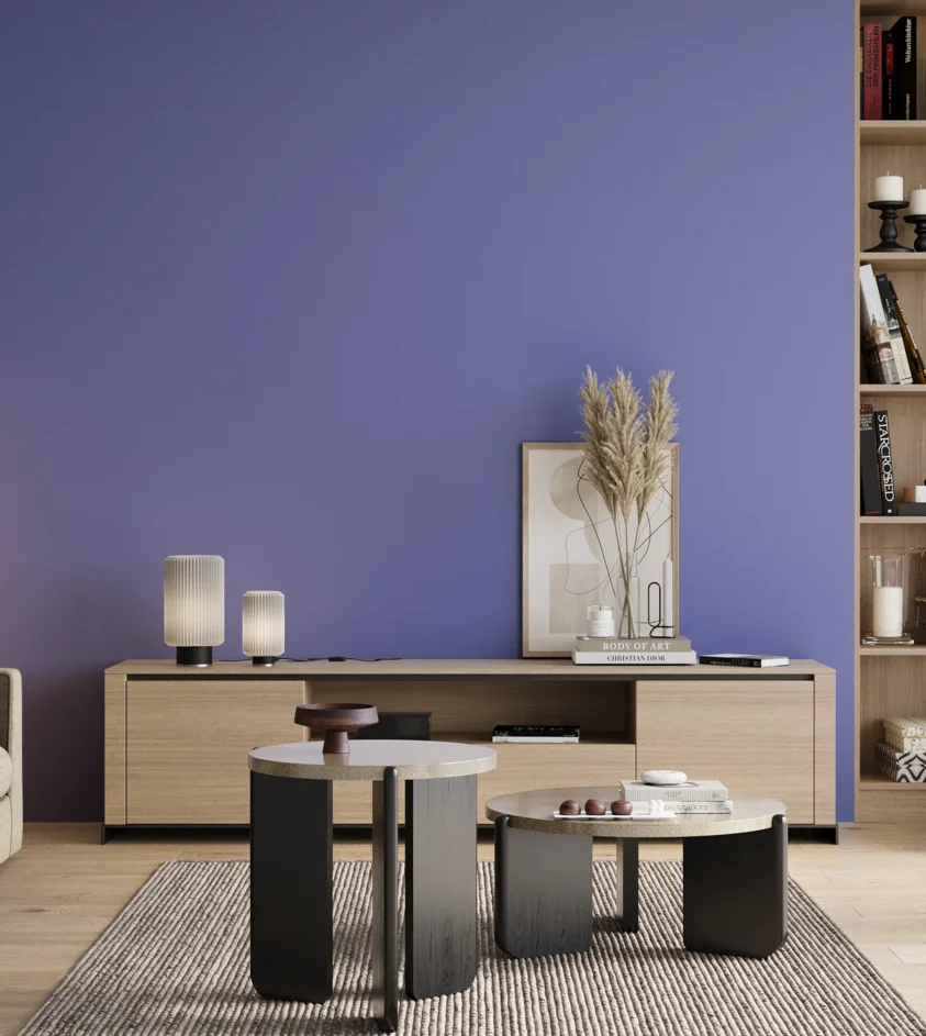 P10_SNIEZKA_salon_00_neutral_GREY_S1555-R70B