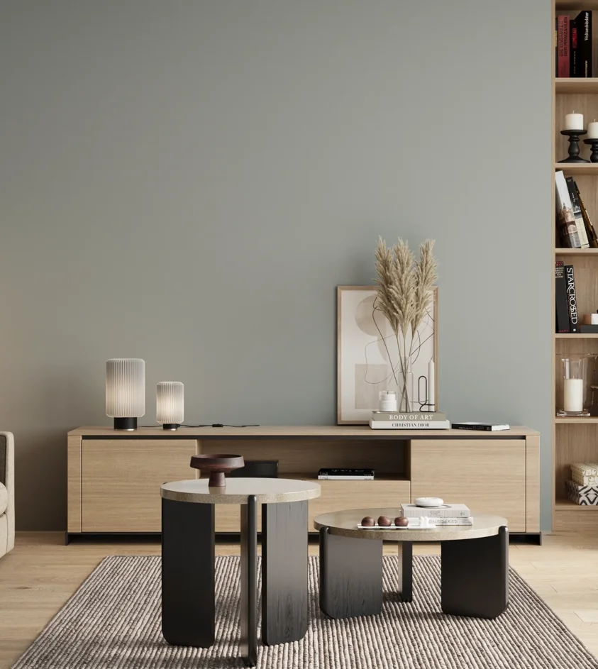P10_SNIEZKA_salon_00_neutral_GREY_S2005-B50G