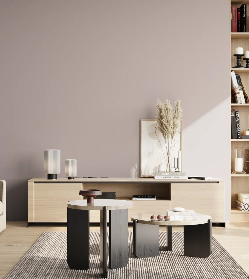 P10_SNIEZKA_salon_02_poludnie_GREY_S2005-R20B