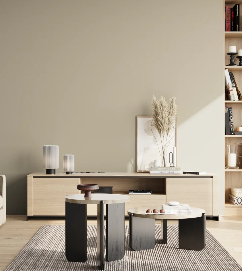 P10_SNIEZKA_salon_02_poludnie_GREY_S2005-Y20R