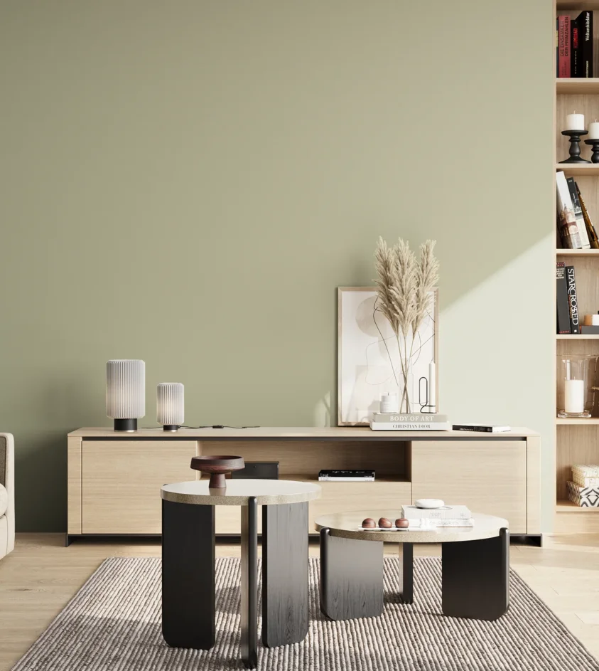 P10_SNIEZKA_salon_02_poludnie_GREY_S2010-G60Y