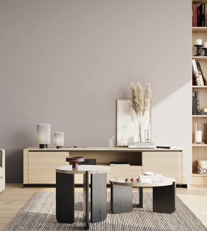 P10_SNIEZKA_salon_02_poludnie_GREY_KL16