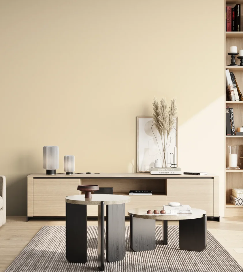 P10_SNIEZKA_salon_02_poludnie_GREY_B7