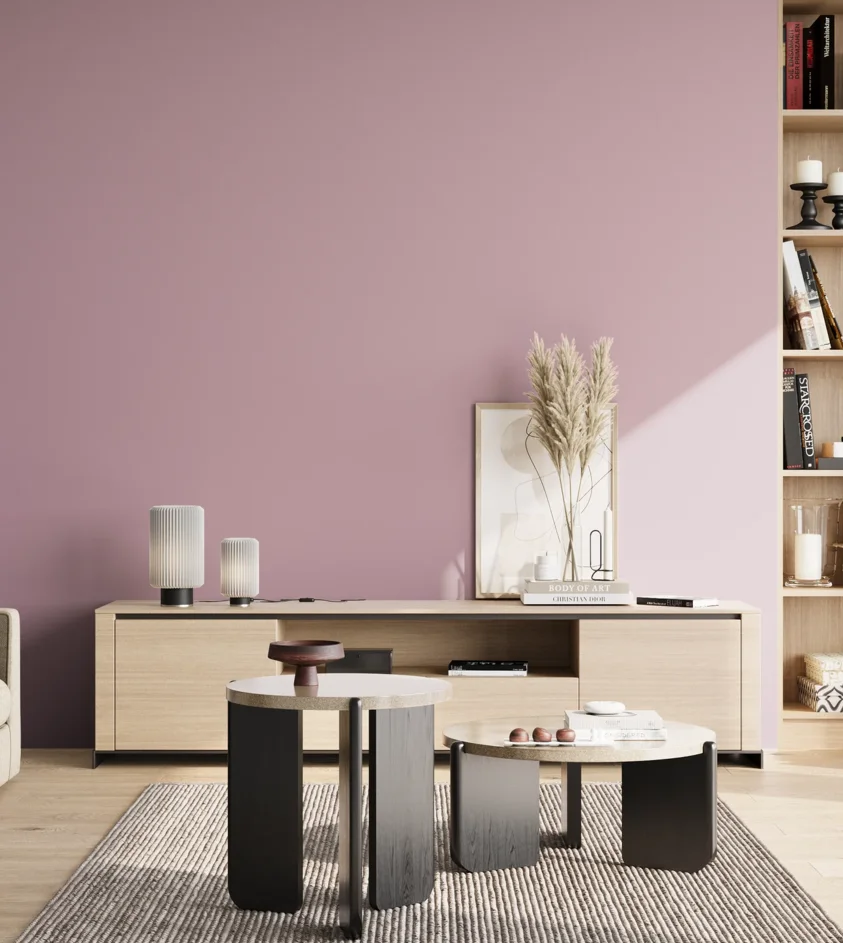 P10_SNIEZKA_salon_02_poludnie_GREY_S2020-R30B