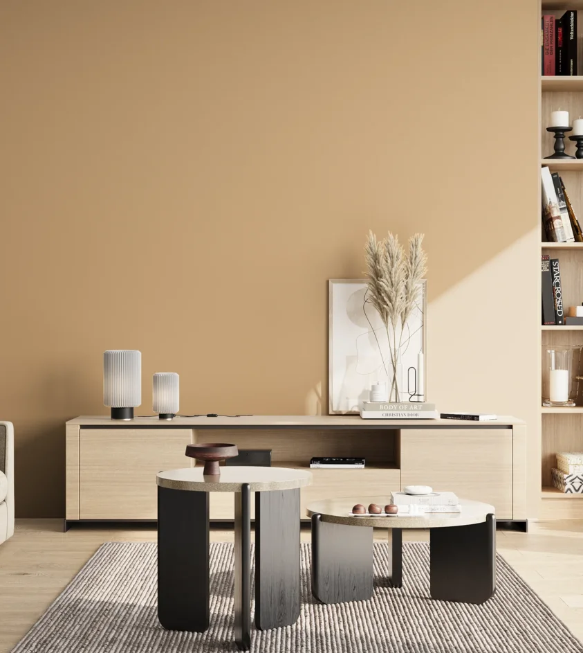 P10_SNIEZKA_salon_02_poludnie_GREY_S2020-Y30R