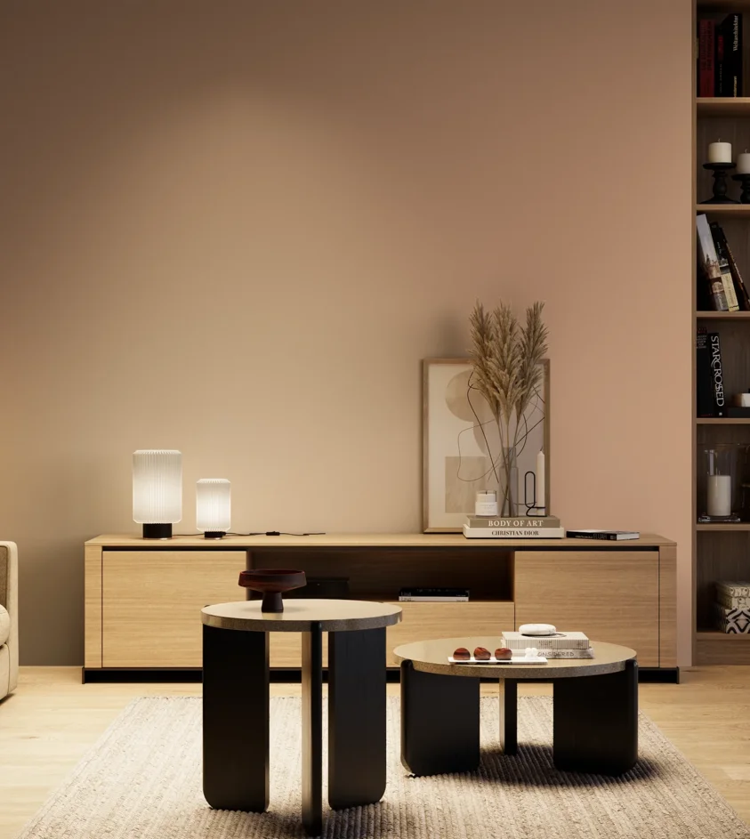 P10_SNIEZKA_salon_04_cieple_GREY_S2020-Y60R