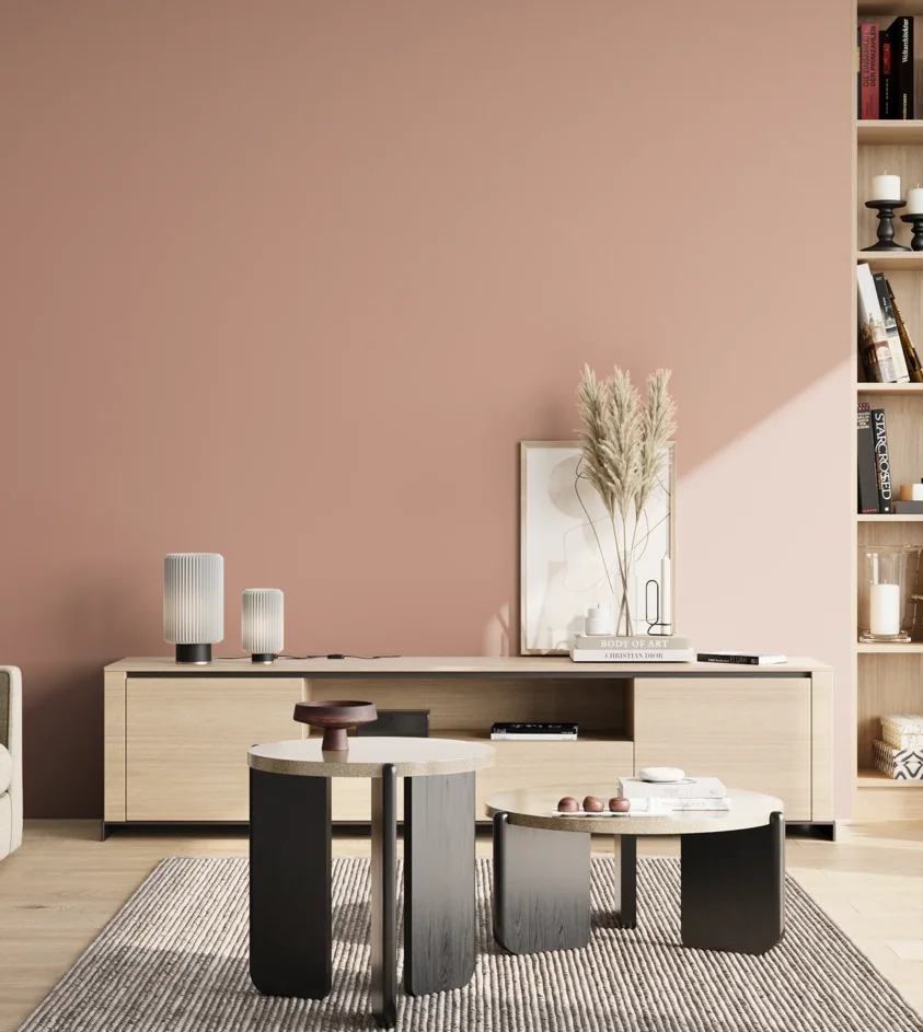 P10_SNIEZKA_salon_02_poludnie_GREY_S2020-Y80R