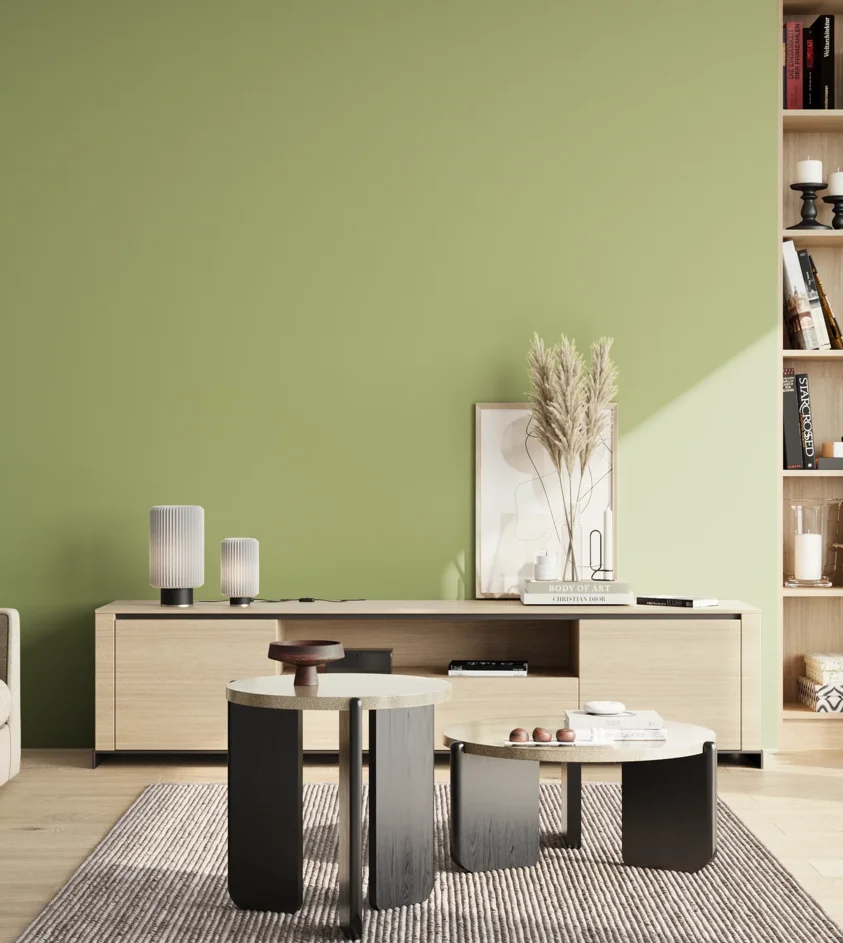 P10_SNIEZKA_salon_02_poludnie_GREY_S2030-G50Y