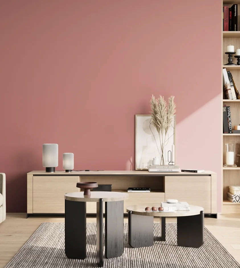 P10_SNIEZKA_salon_02_poludnie_GREY_S2030-R