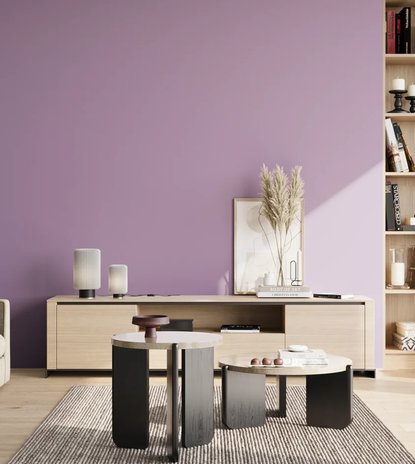 P10_SNIEZKA_salon_02_poludnie_GREY_S2030-R50B