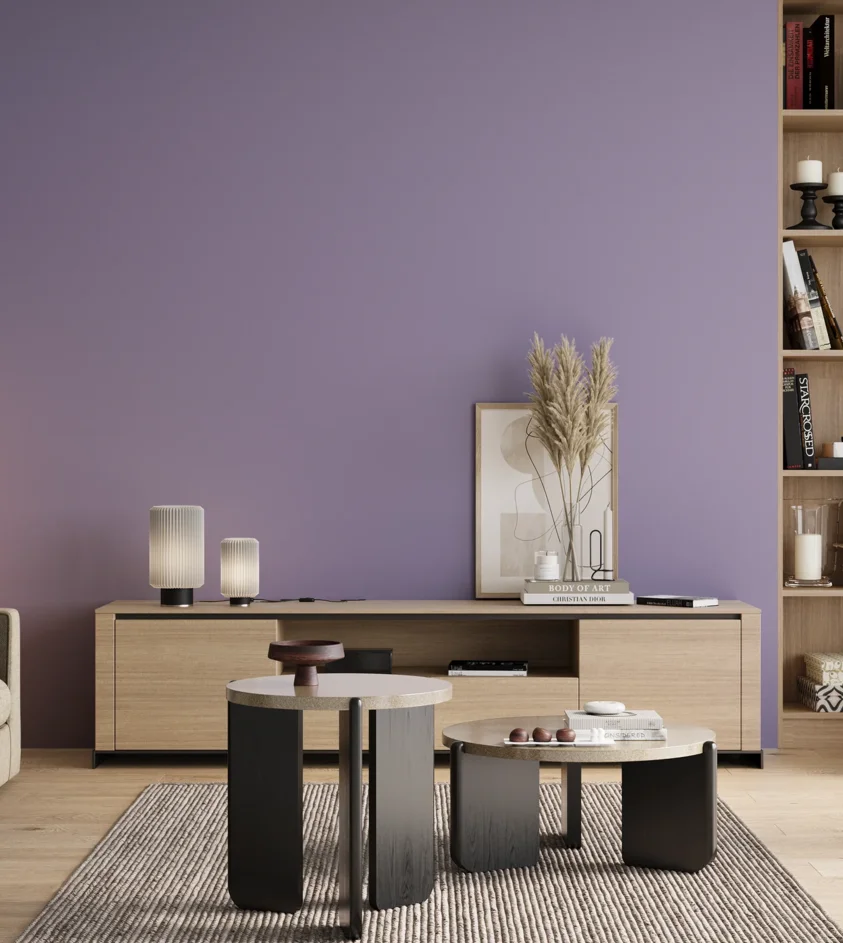 P10_SNIEZKA_salon_00_neutral_GREY_S2030-R60B