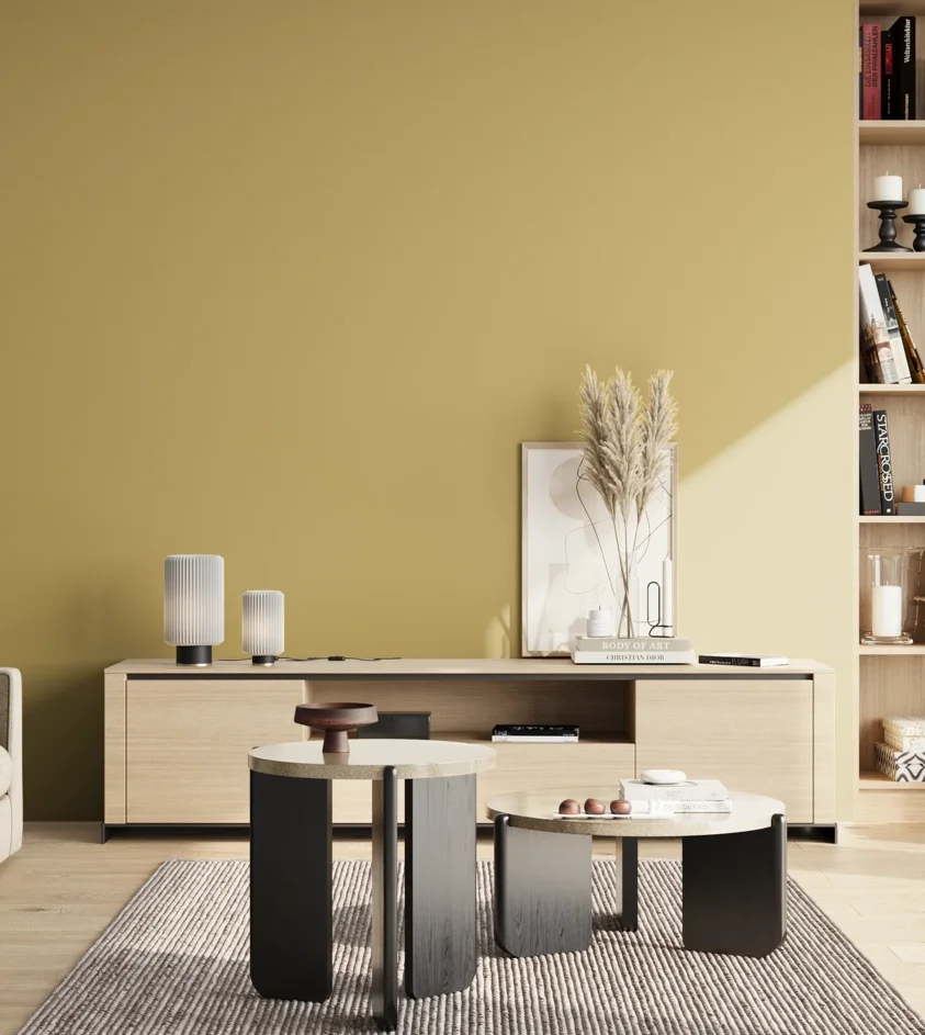 P10_SNIEZKA_salon_02_poludnie_GREY_S2030-Y