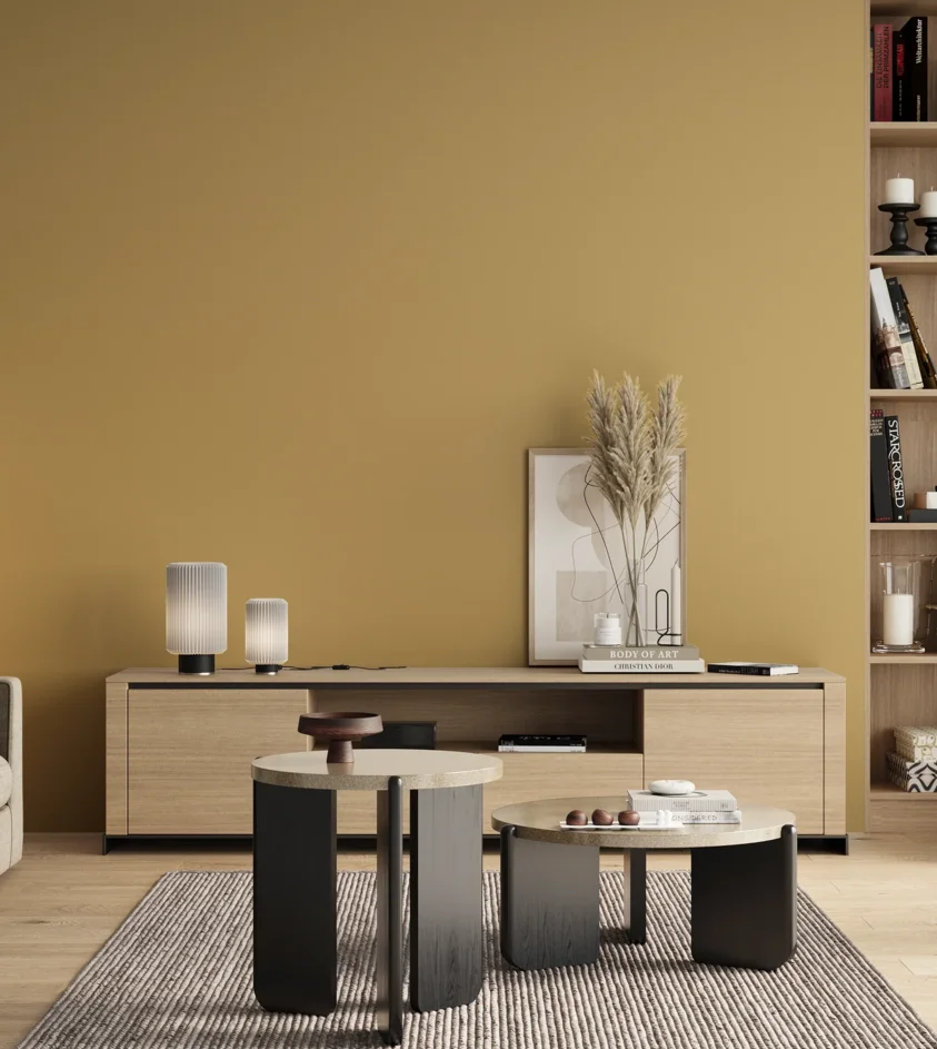 P10_SNIEZKA_salon_00_neutral_GREY_S2030-Y10R