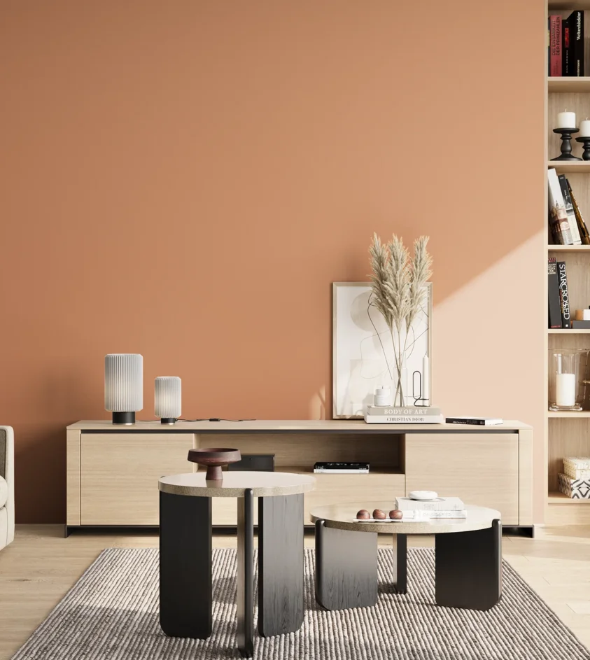P10_SNIEZKA_salon_02_poludnie_GREY_S2030-Y50R