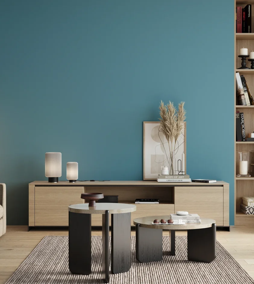 P10_SNIEZKA_salon_00_neutral_GREY_S2040-B10G