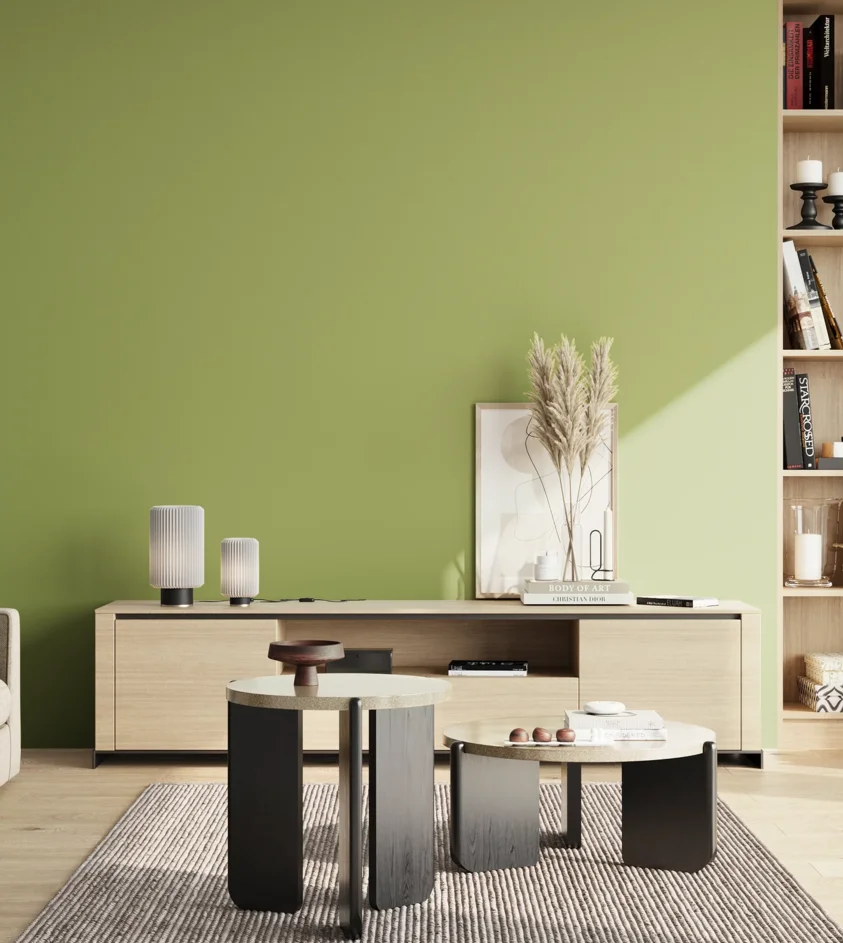 P10_SNIEZKA_salon_02_poludnie_GREY_S2040-G50Y