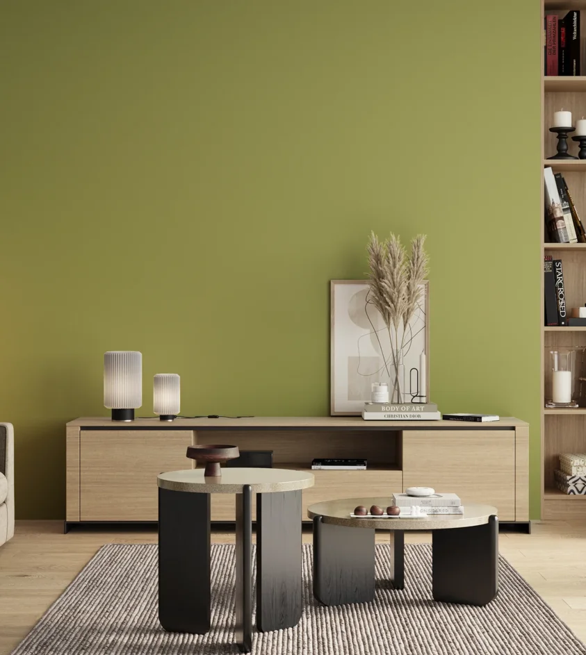 P10_SNIEZKA_salon_00_neutral_GREY_S2040-G60Y