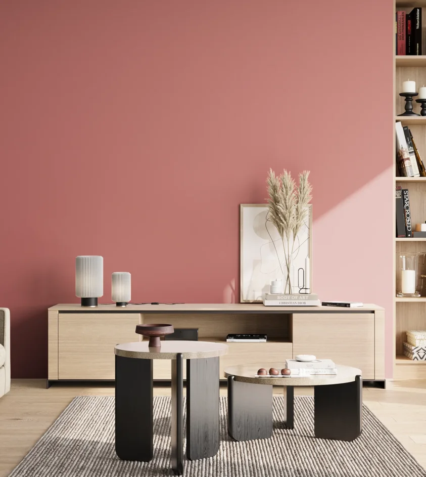 P10_SNIEZKA_salon_02_poludnie_GREY_S2040-R