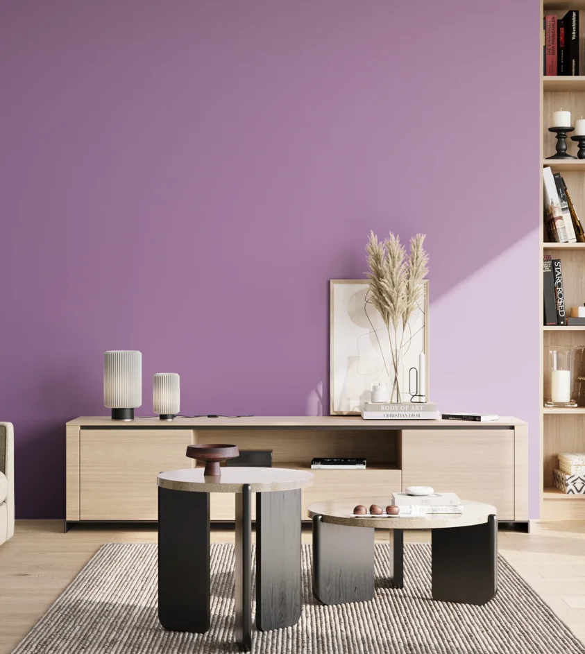 P10_SNIEZKA_salon_02_poludnie_GREY_S2040-R50B