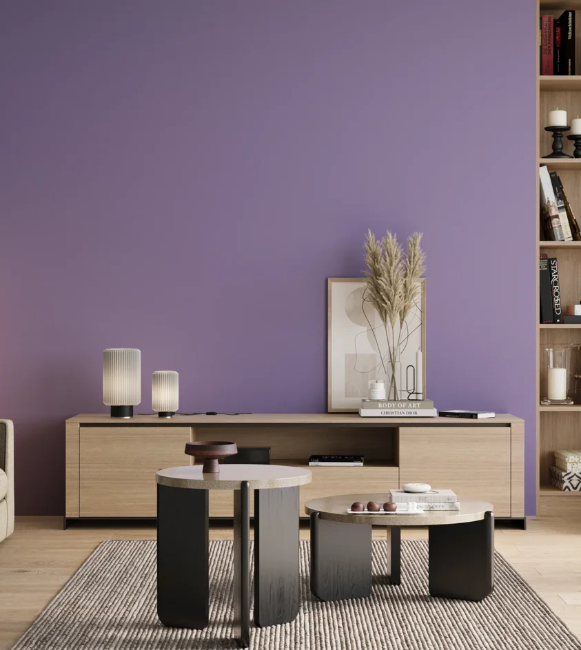 P10_SNIEZKA_salon_00_neutral_GREY_S2040-R60B