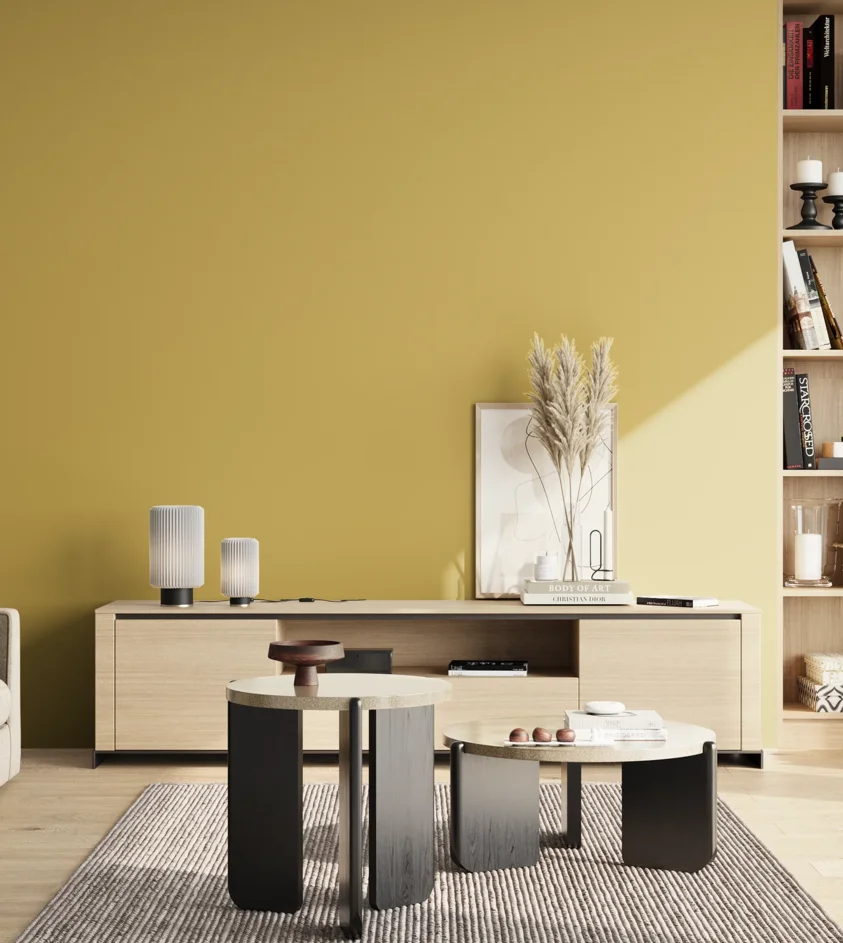 P10_SNIEZKA_salon_02_poludnie_GREY_S2040-Y