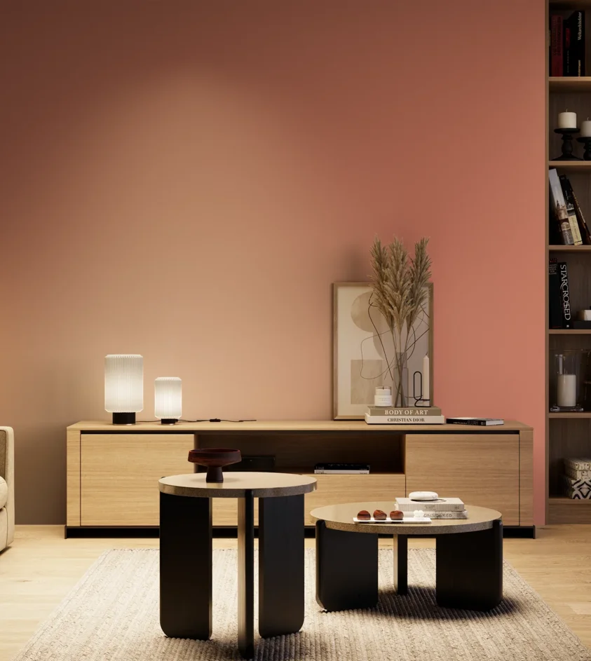 P10_SNIEZKA_salon_04_cieple_GREY_S2040-Y80R
