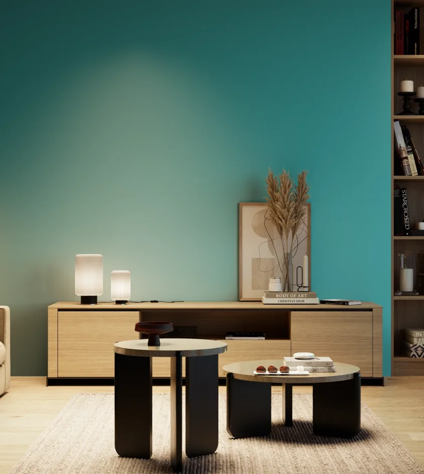 P10_SNIEZKA_salon_04_cieple_GREY_S2050-B30G