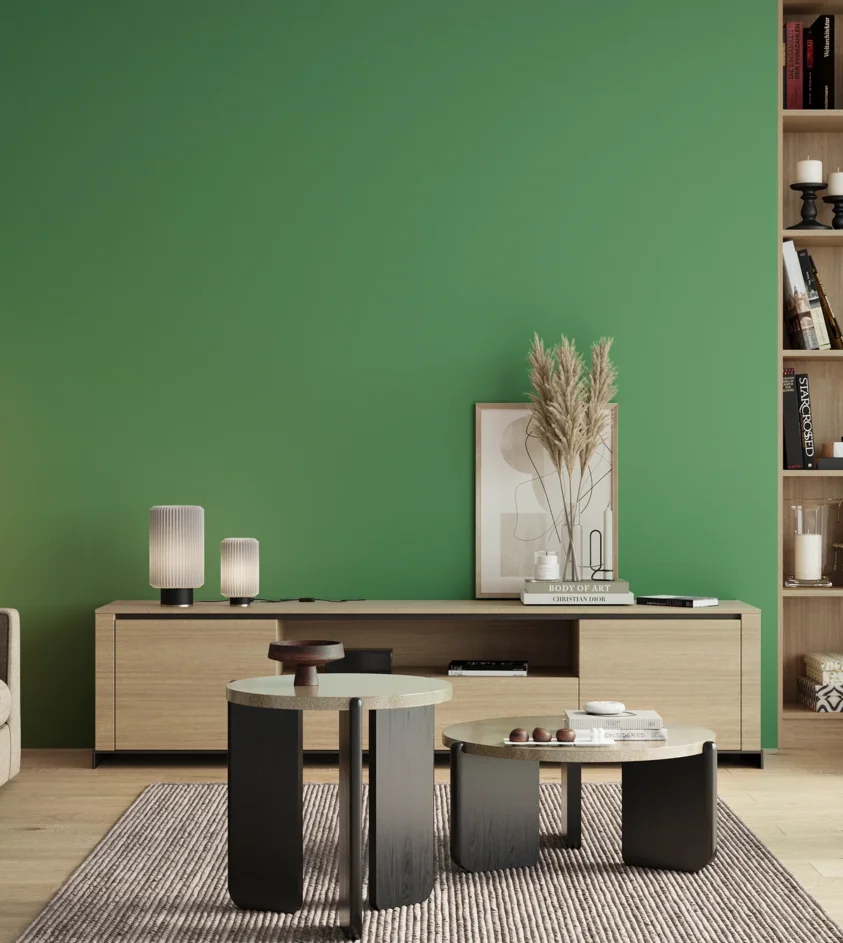 P10_SNIEZKA_salon_00_neutral_GREY_S2050-G10Y